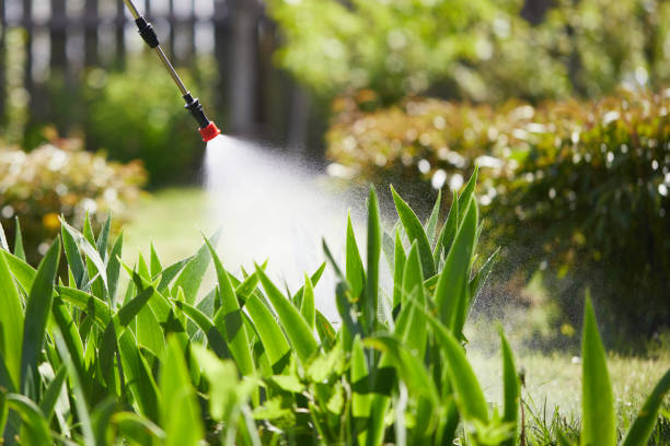 24/7 Emergency Cockroach Control experts in Vandalia, OH