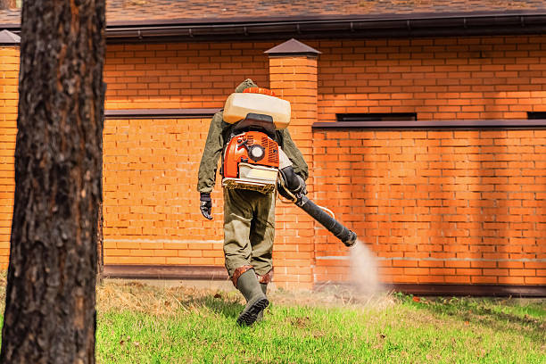 Top rated local Cockroach Control specialists in Vandalia, OH